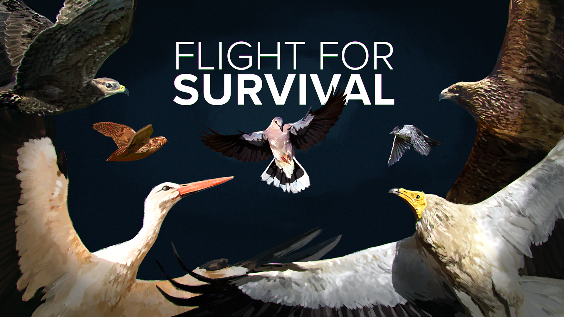 LIFE Against Bird Crimes – Flight for Survival